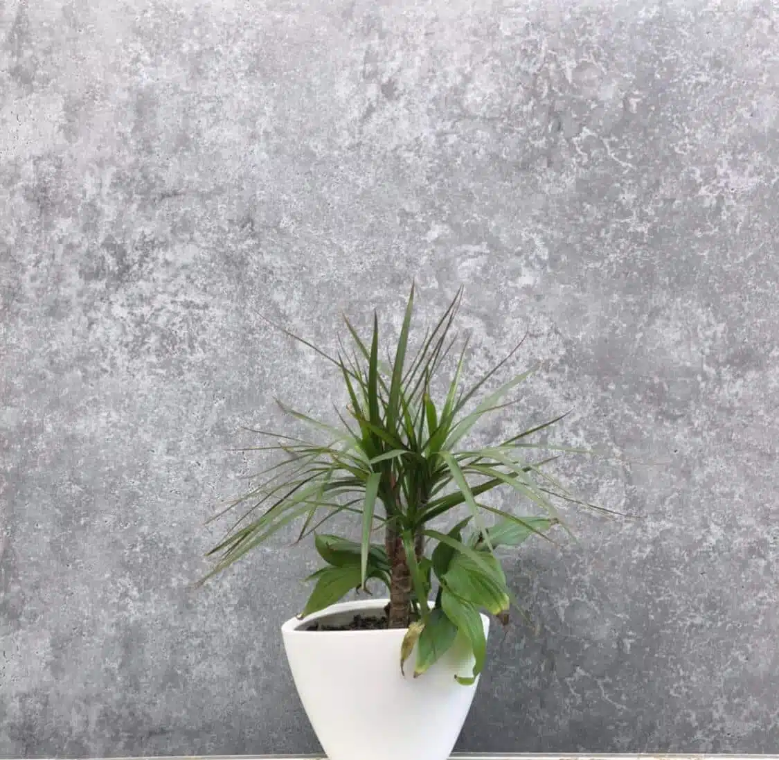 Concrete-look wall panelling